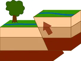 aardbewing omgekeerd